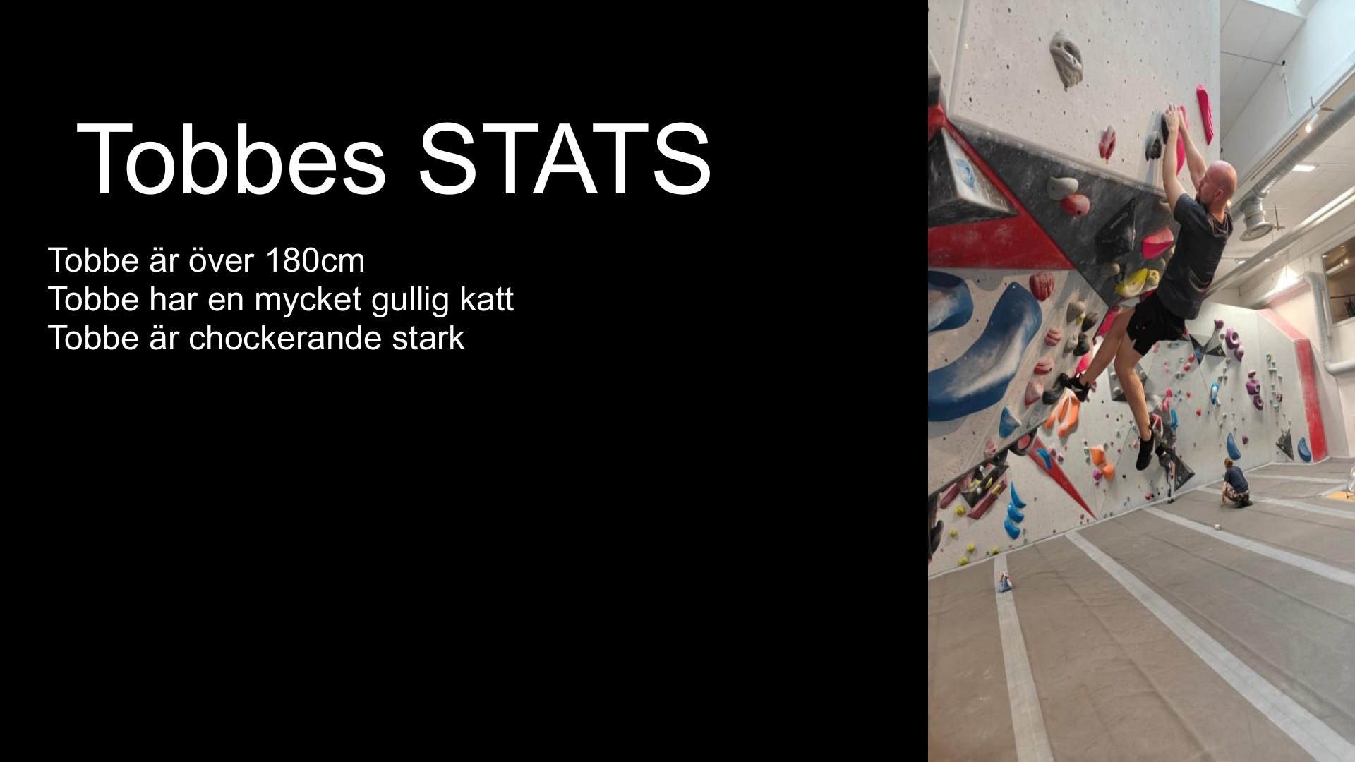 Slide 8 från pitchen om Tobbe