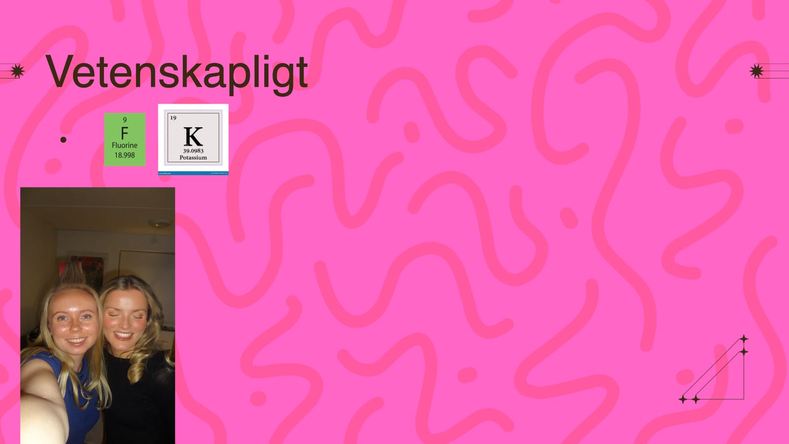 Frida Kågströms pitch, bild 21