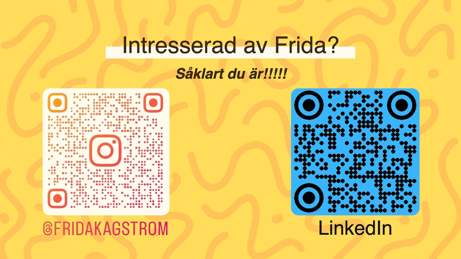 Frida Kågströms pitch, bild 56