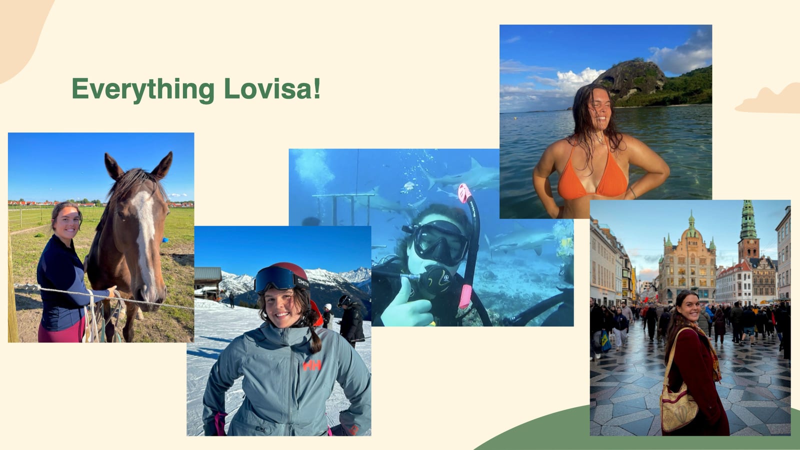 Lovisa Persens pitch, bild 5