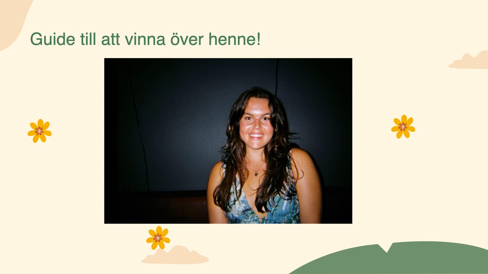 Lovisa Persens pitch, bild 8
