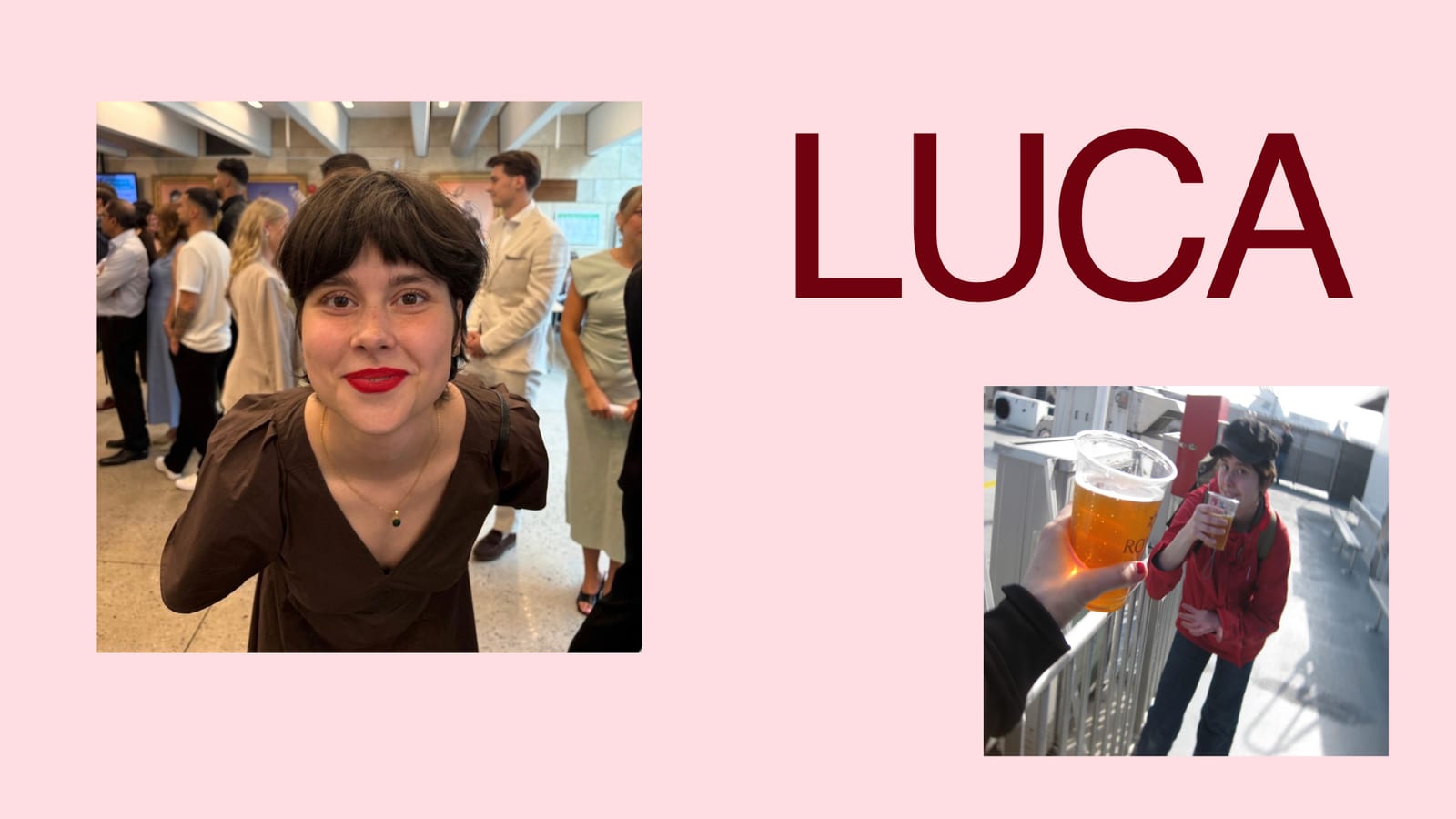 Luca Tolnais pitch, bild 2