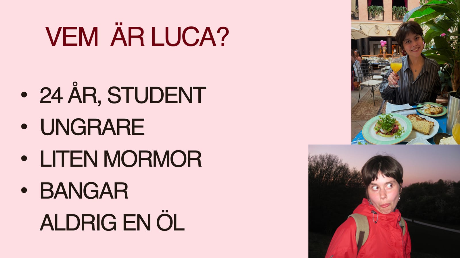 Luca Tolnais pitch, bild 3