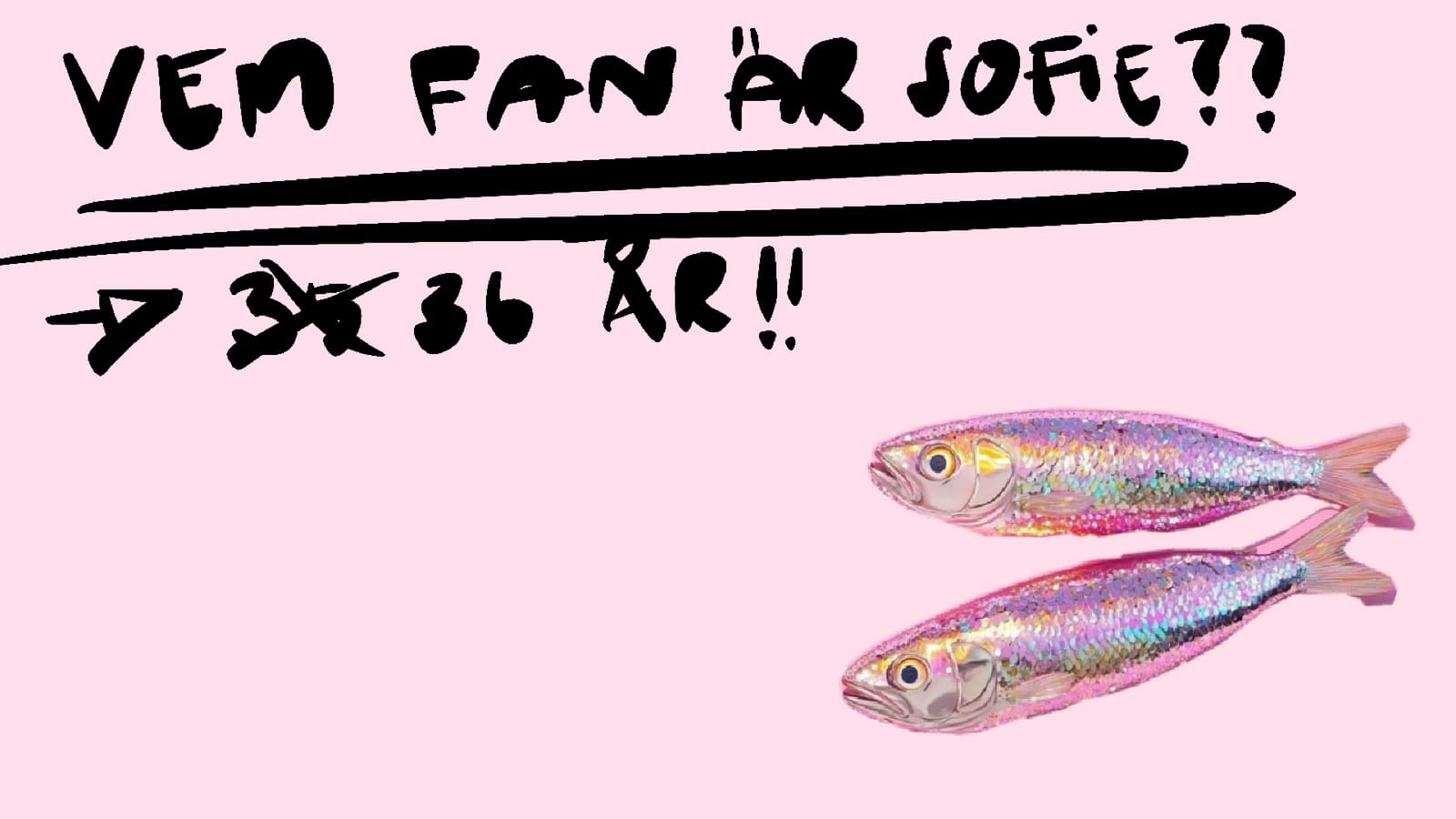 Sofies pitch, bild 11