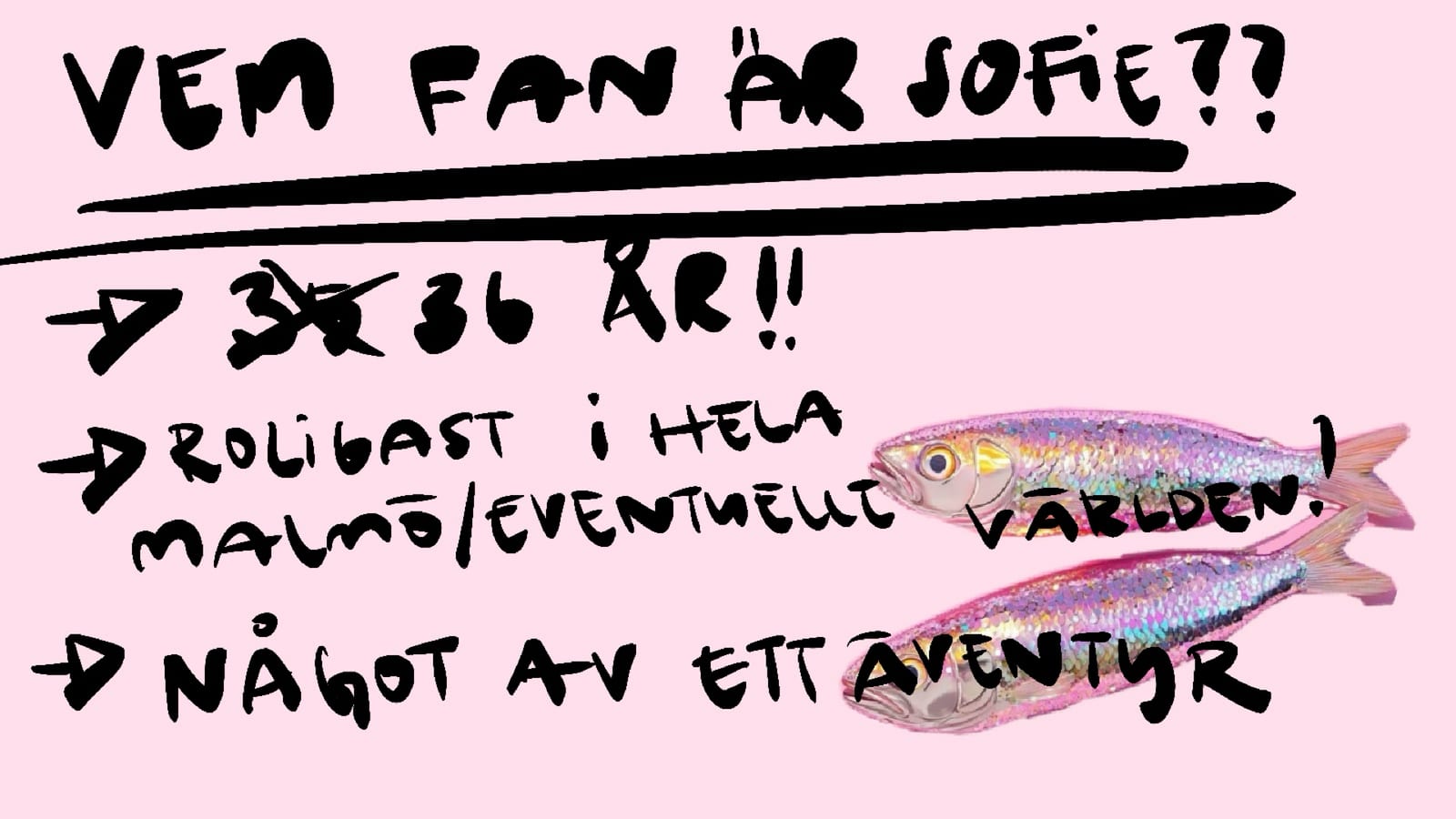 Sofies pitch, bild 13