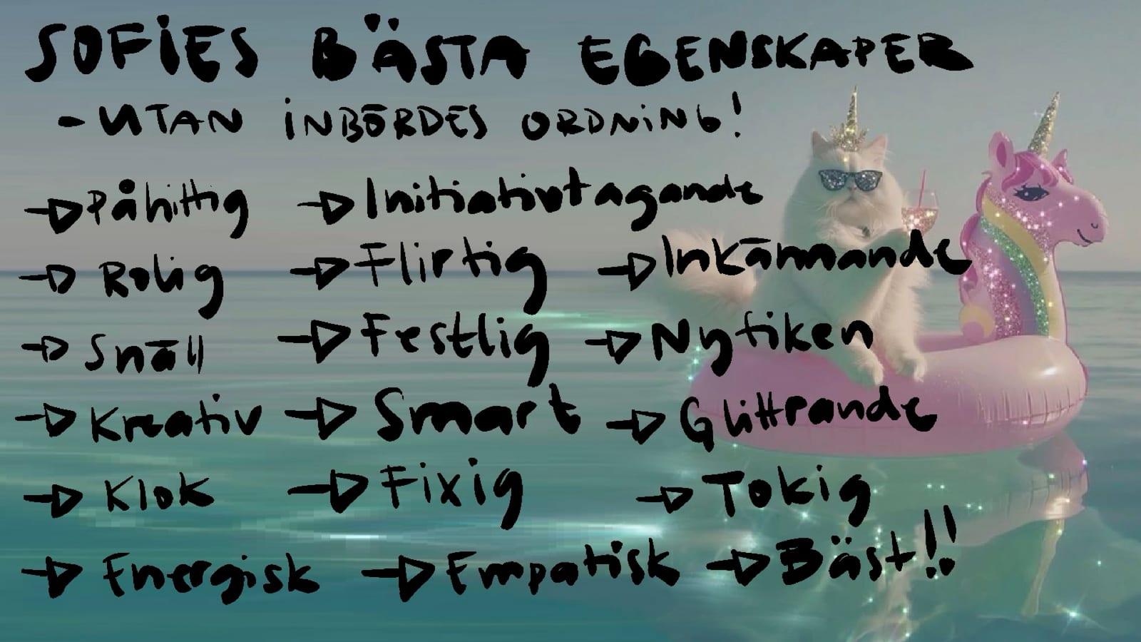 Sofies pitch, bild 16