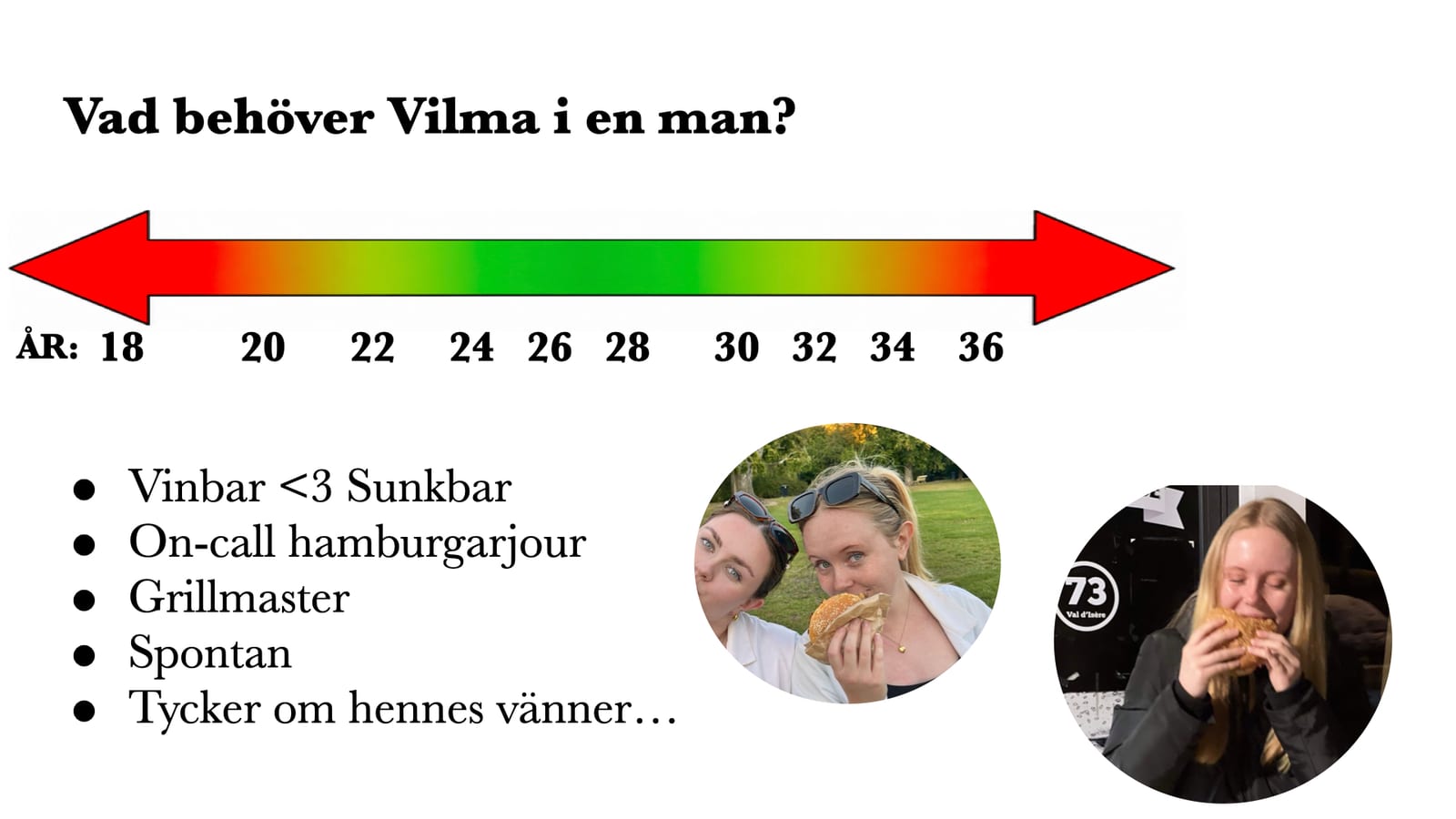 Vilma Börjessons pitch, bild 14