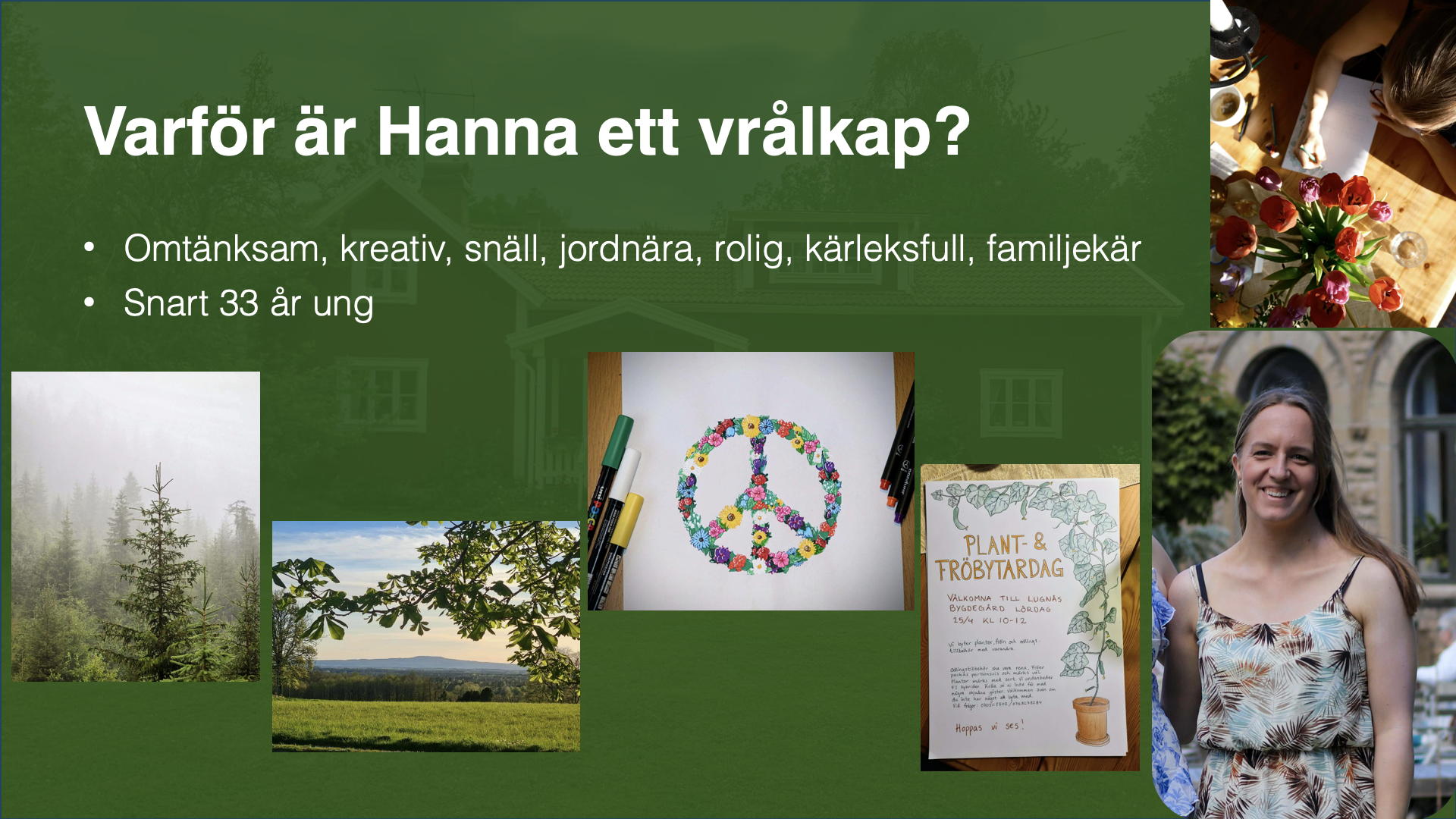 Hannas pitch, bild 2